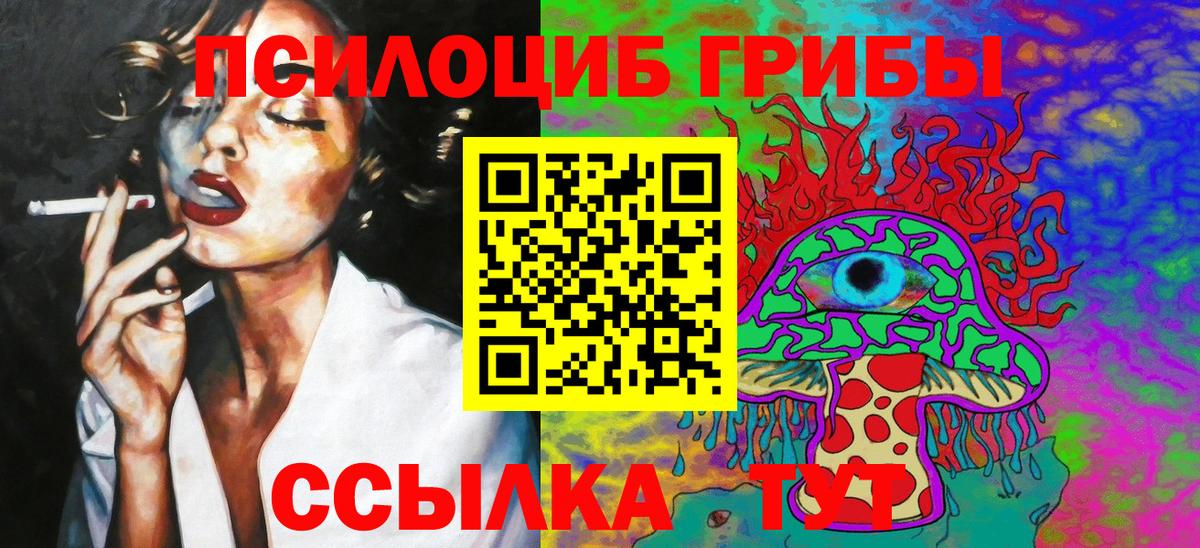 Галлюциногенные грибы Cubensis  Вход с VPN  Ишимбай  Псилоцибиновые грибы прущие грибы 