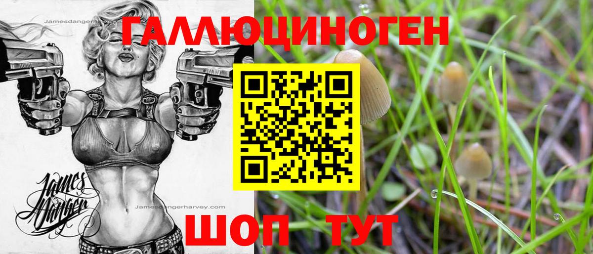 Галлюциногенные грибы GOLDEN TEACHER Ишимбай
